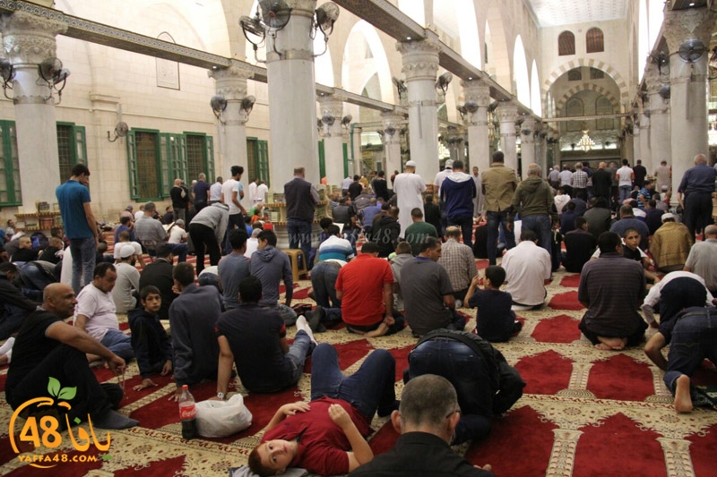 yaffa quds aqkq (35).jpg